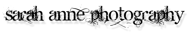 DeepFocus Logo